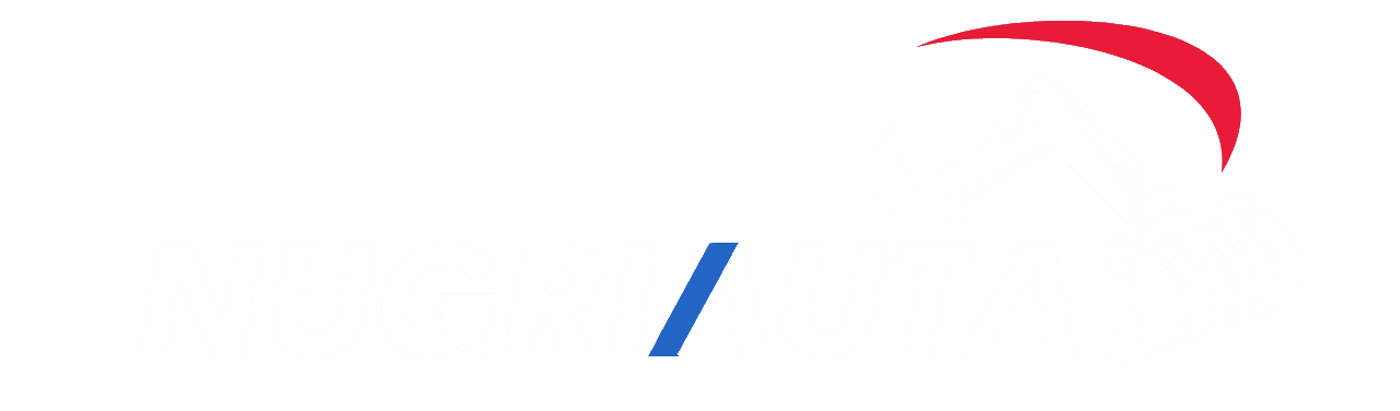 Avada Car Dealer Logo